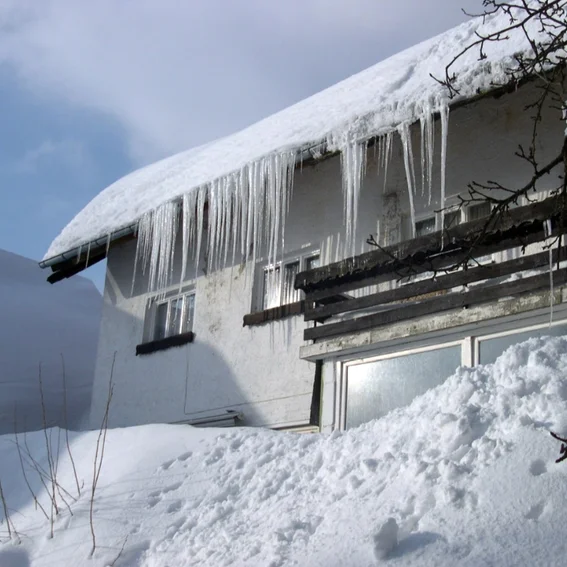 Bild41.jpg