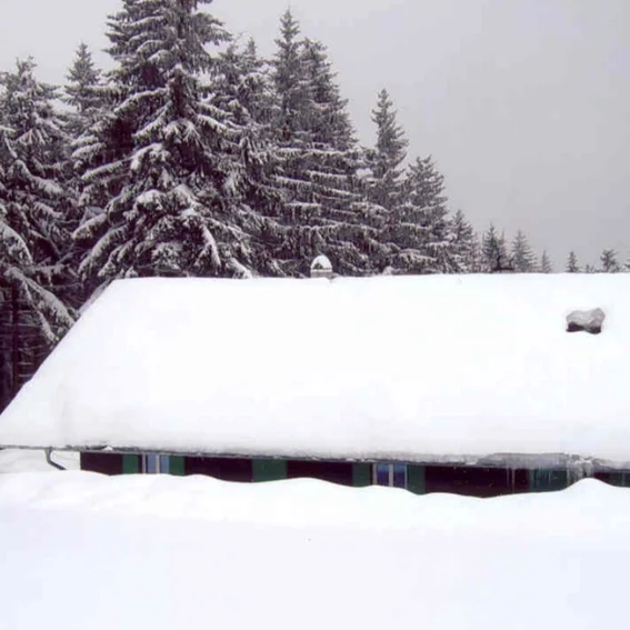 Bild46.jpg