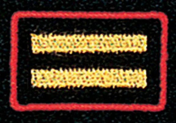 Kreisbrandmeister1.png