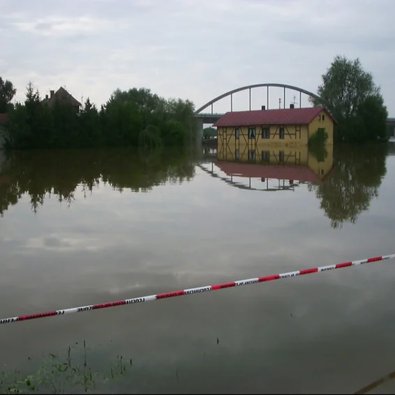 Bild6.jpg